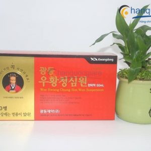 An cung Vũ Hoàng Thanh Tâm dạng nước hộp 10 lọ * 50ml 2 vu hoang thanh tam dang nuoc cong ty nam son dang nuoc 10 chai 5
